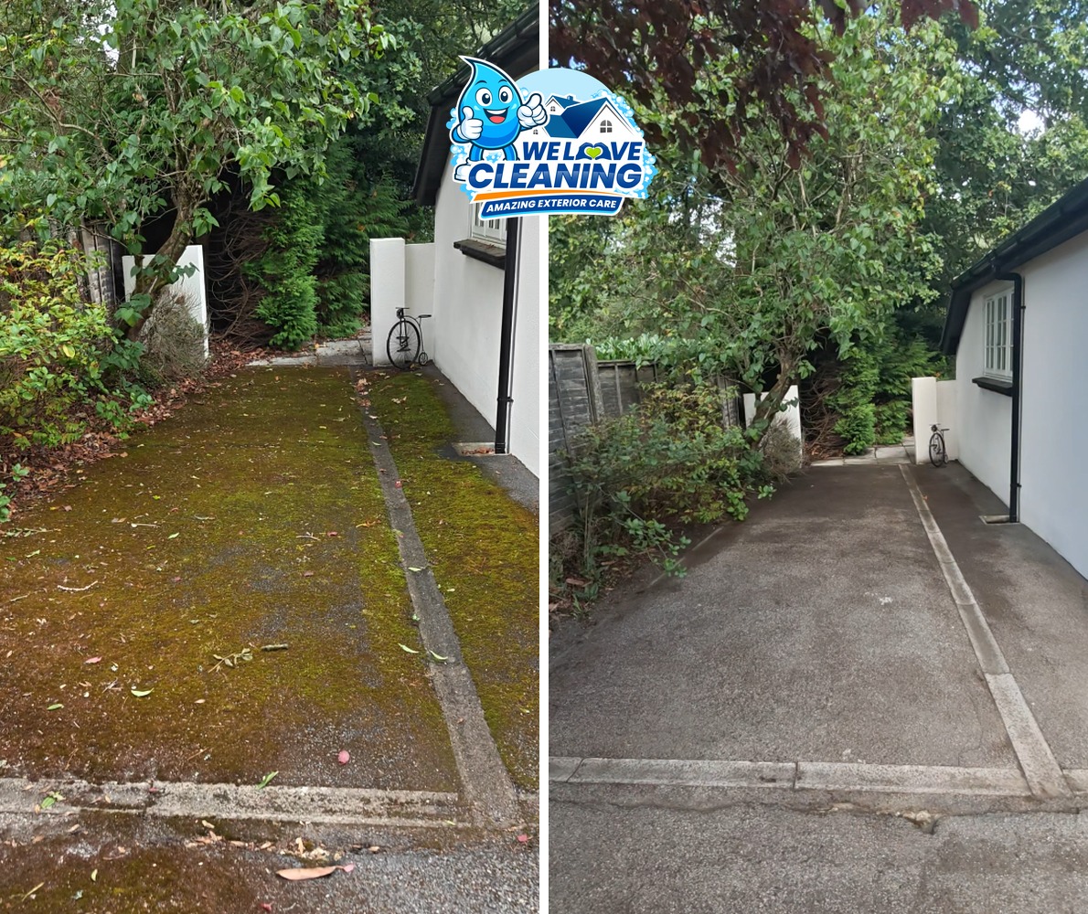 Before and after cleaning result