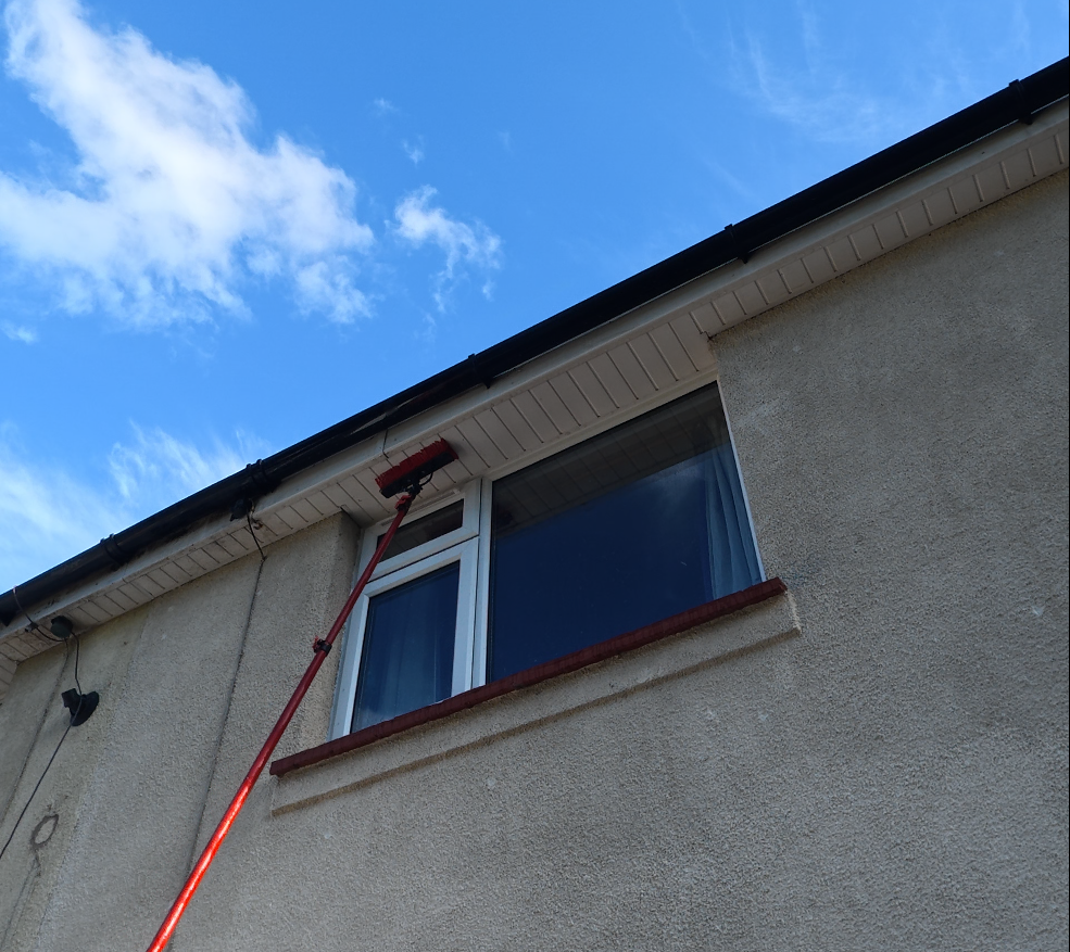 Gutter Emptying and Soffit & Fascia Cleaning
