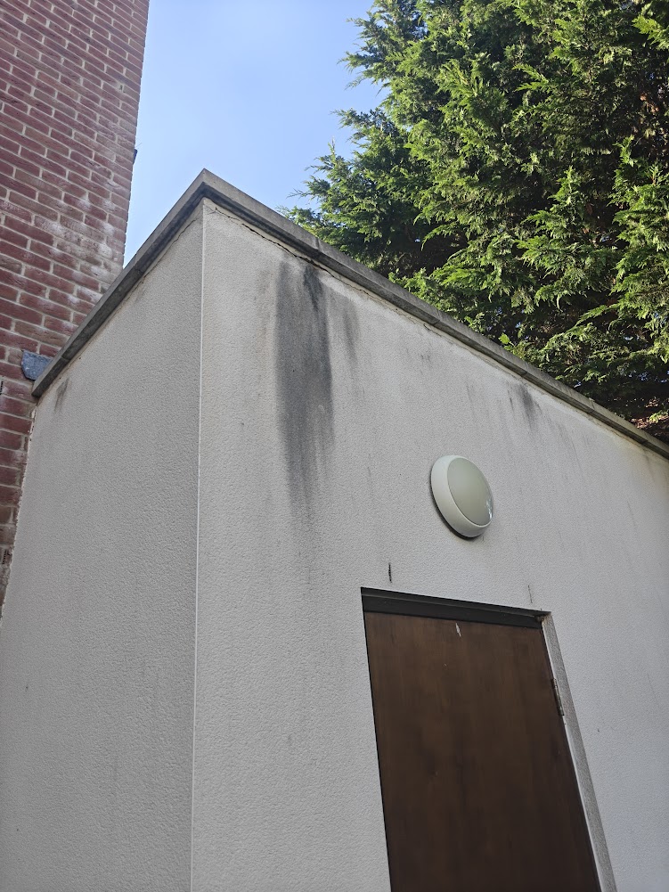 Black run-off streaks spreading down white render from beneath a stone coping