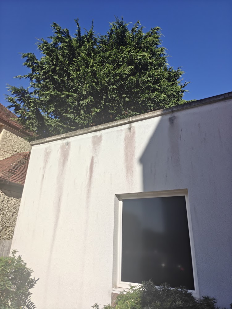 Black streaks running down white exterior render