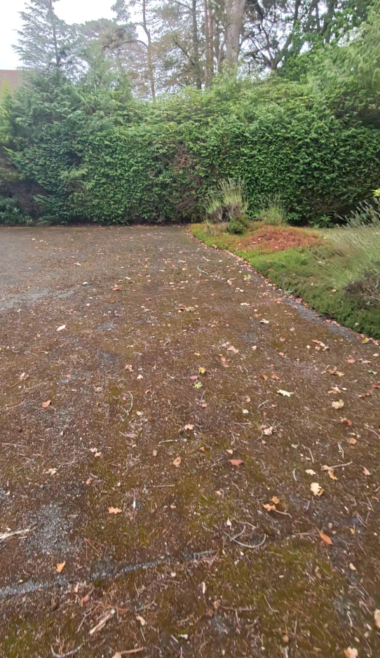 Autumn leaves settling on a driveway ahead of the wetter months