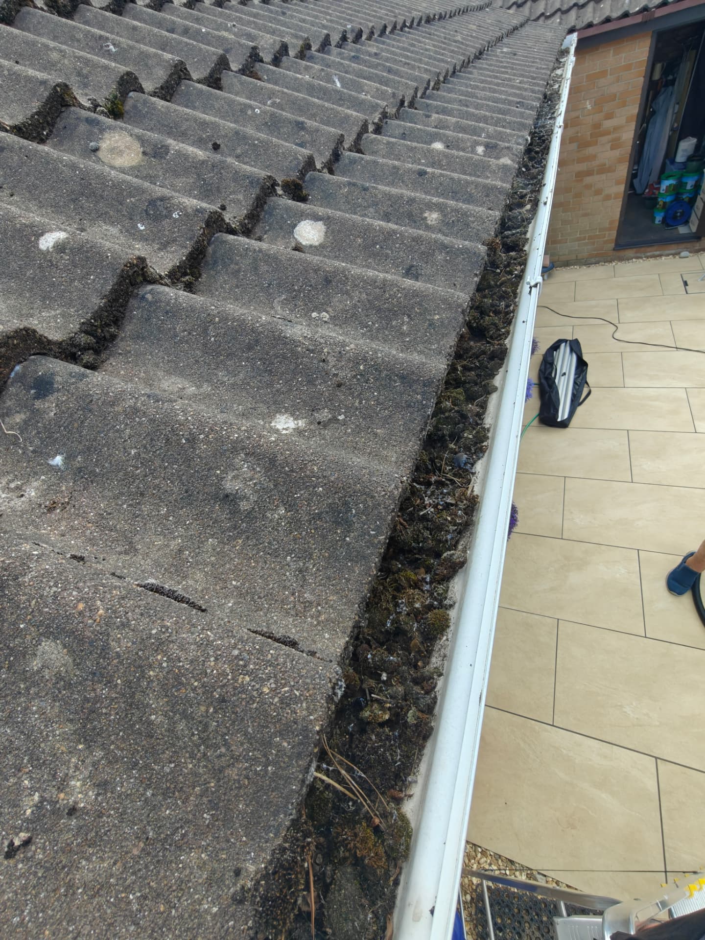 Gutter packed with moss and debris along a tiled roof in Hampshire