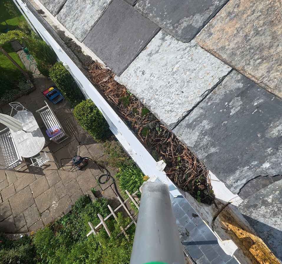 Gutter packed with moss and pine debris along its full run, seen from above