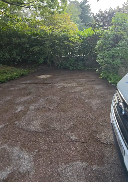 Tarmac driveway with moss growth settling into cracks and worn patches on the surface