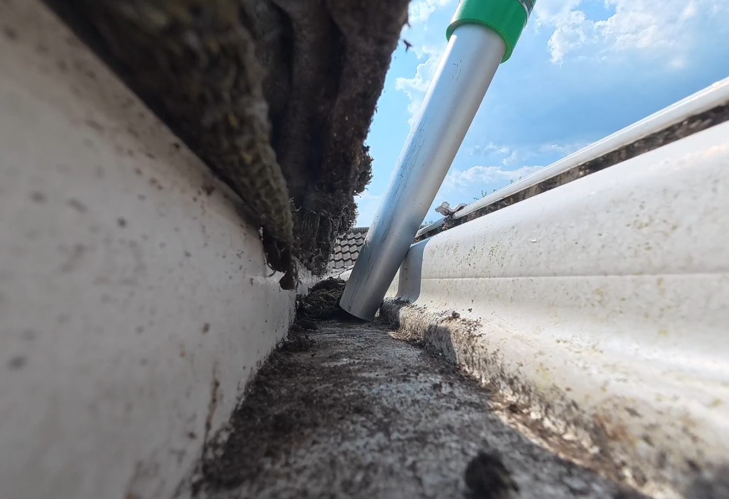 Pole-mounted vacuum lifting a packed layer of leaves and moss out of a gutter